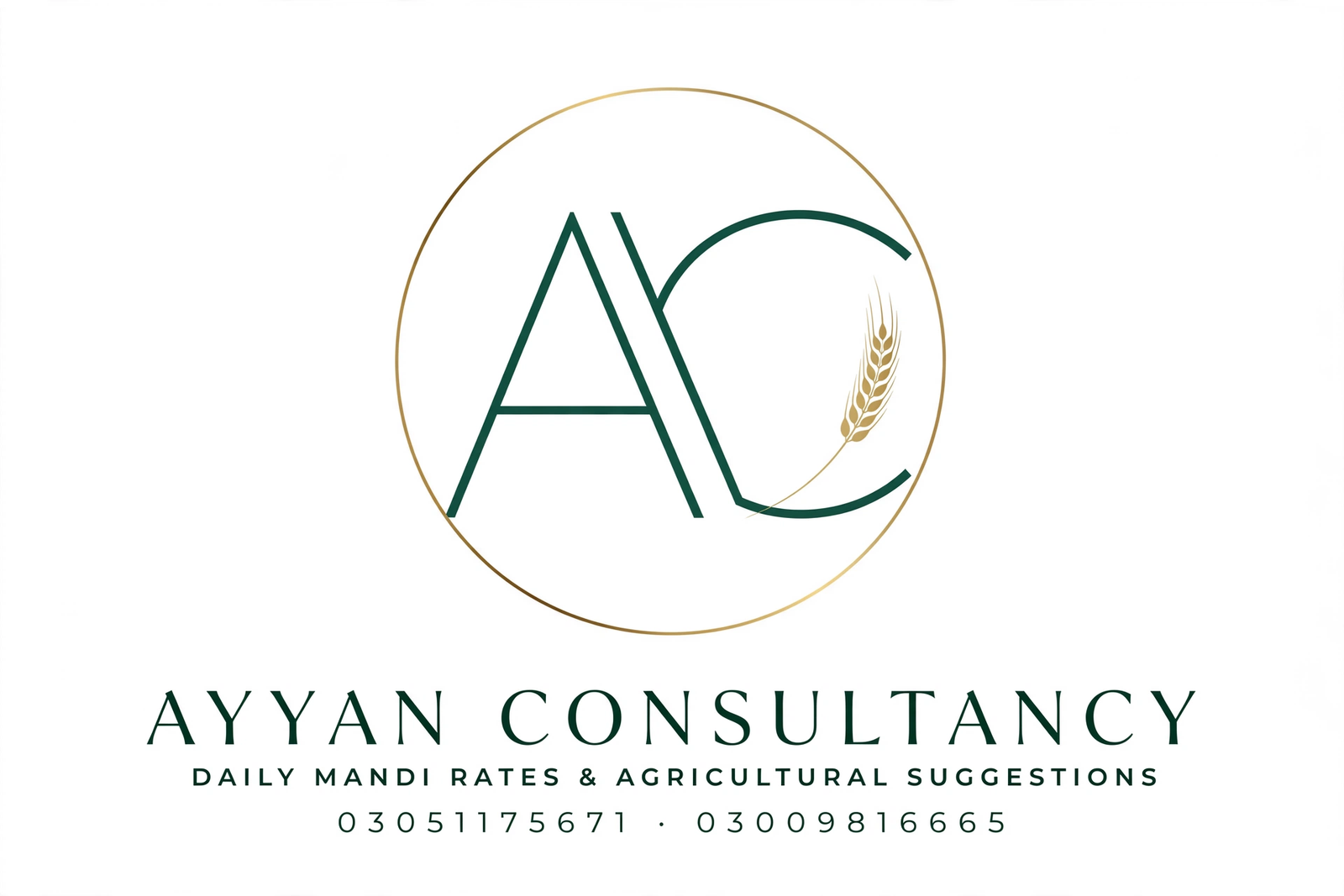 Ayyan Consultancy